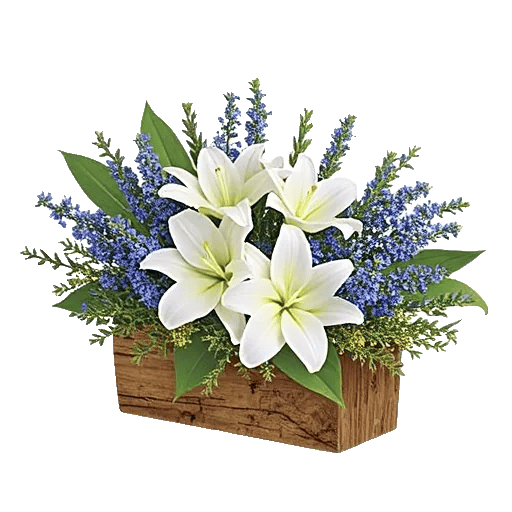 Graceful Lily Display