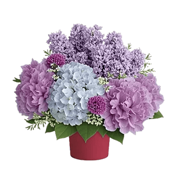 Lavender Bloom Grace