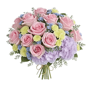 Pink Pastel Roses