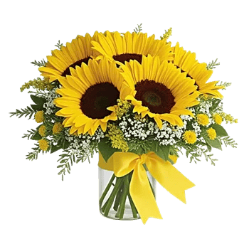 Bright Cheerful Sunflowers