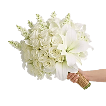 Blushing Rose Symphony