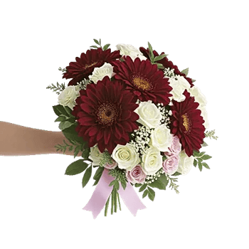 Blushing Rose Symphony