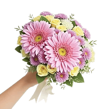 Blossom Harmony Display