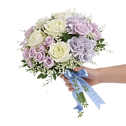 Serene Petal Harmony