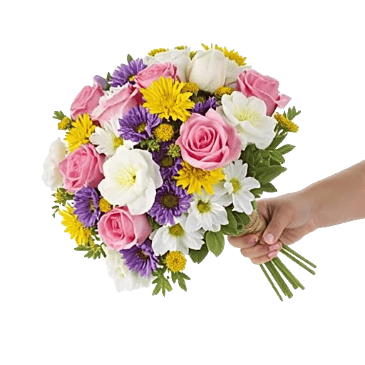 Blossom Harmony Display