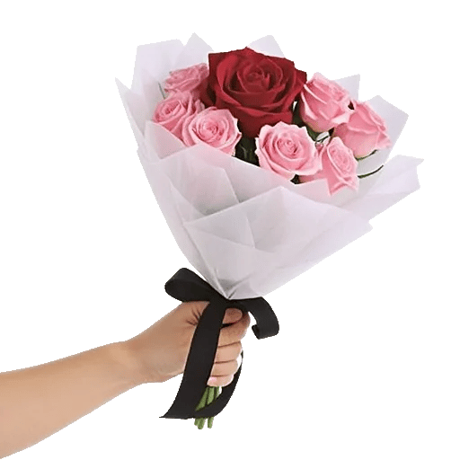 Crimson Rose Elegance