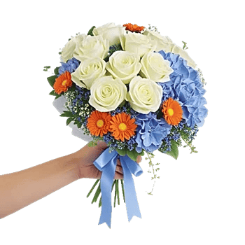 Serene Petal Harmony