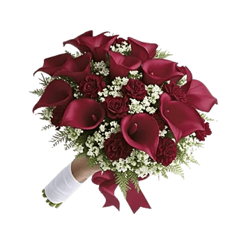 Elegant Calla Lilies