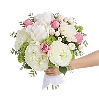 Ivory Blossom Radiance