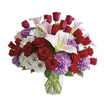 Crimson Blossom Harmony