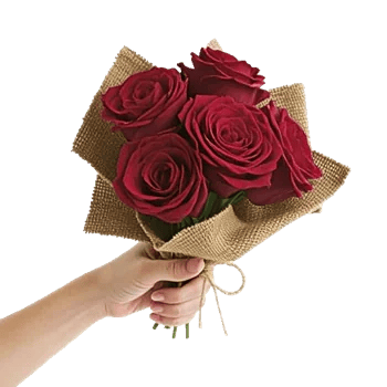 Crimson Rose Elegance