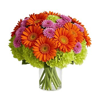 Radiant Bloom Cascade