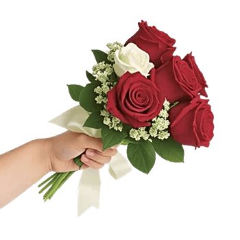 Crimson Rose Elegance