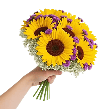 Twinkling Sunflower Dance