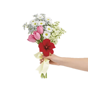 Blossom Petal Serenity