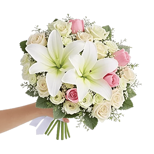 Ivory Garden Grace