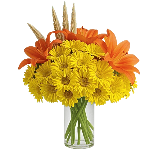 Petal Radiance Bliss