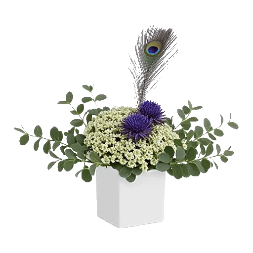 Minimalist White Orchids