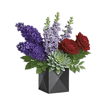 Modern White Orchids