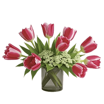 Velvet Tulip Display