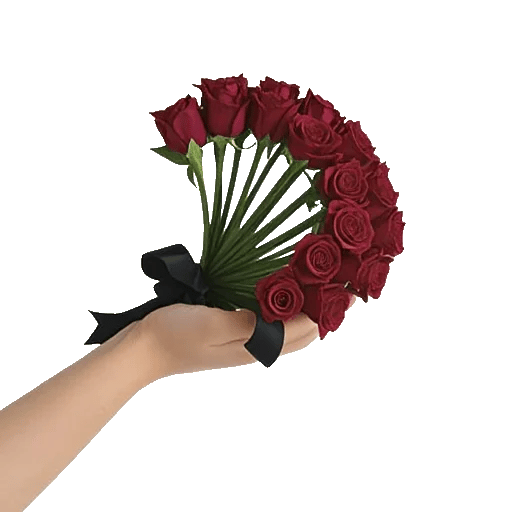 Crimson Rose Elegance