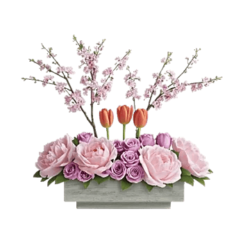 Delicate Petal Cascade