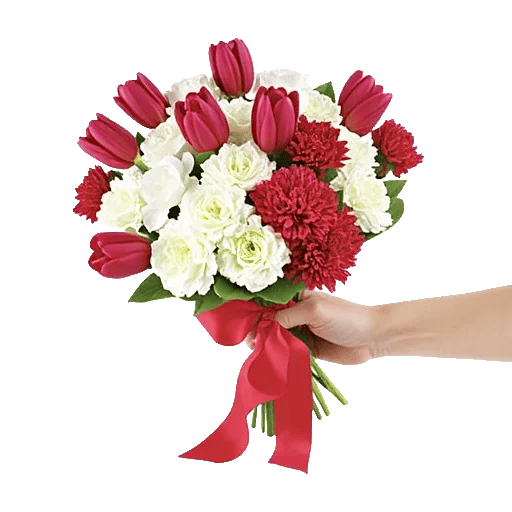 Scarlet Tulip Splendor