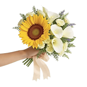 Radiant Bloom Cascade