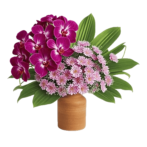 Orchid Petal Glow