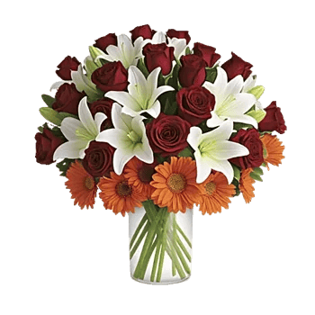 Crimson Blossom Harmony