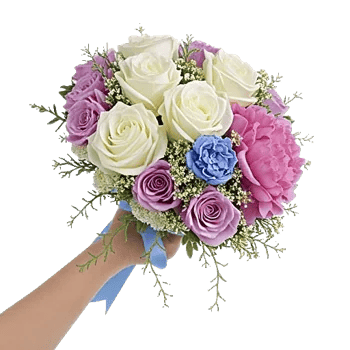 Serene Petal Harmony