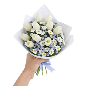 Blossom Petal Serenity