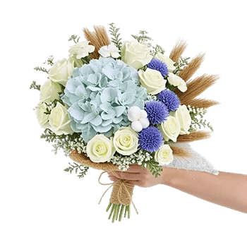 Serene Petal Harmony