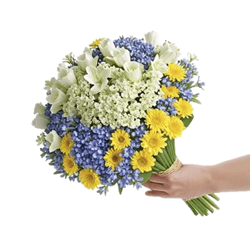 Blossom Harmony Display