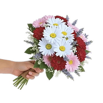 Blossom Petal Serenity