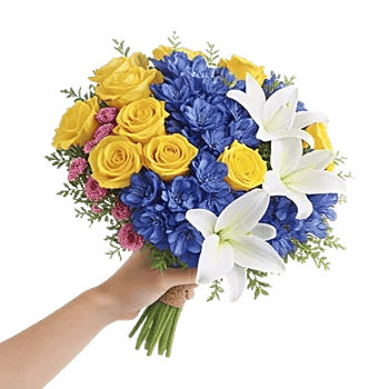 Blossom Harmony Display