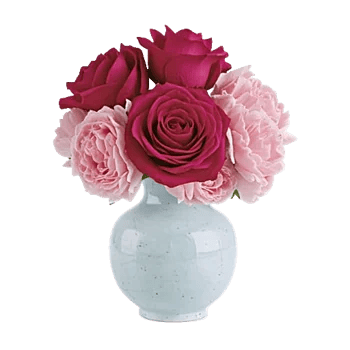 Crimson Rose Elegance