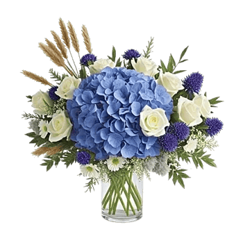 Serene Petal Harmony