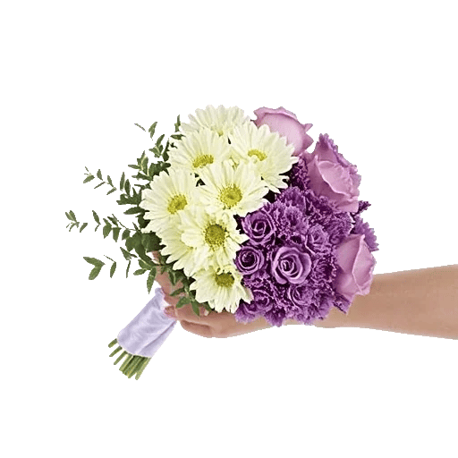 Ivory Blossom Radiance