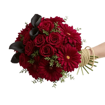 Deep Red Foliage