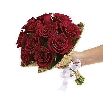 Crimson Rose Elegance