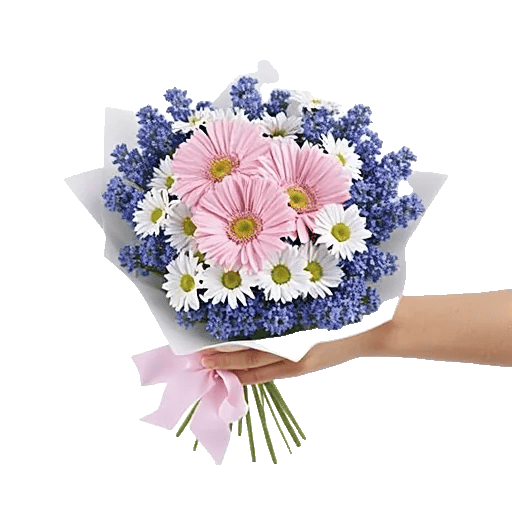 Blossom Petal Serenity