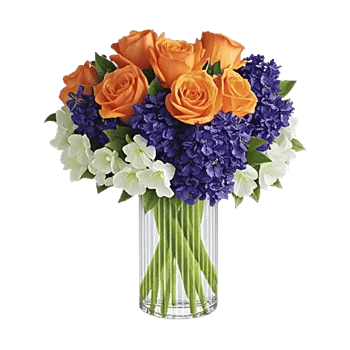 Petal Radiance Bliss