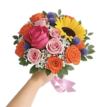 Pastel Pink Roses