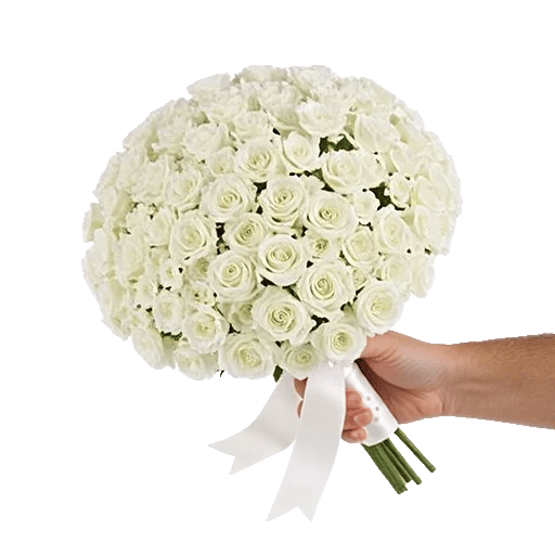 Delicate Petal Cascade