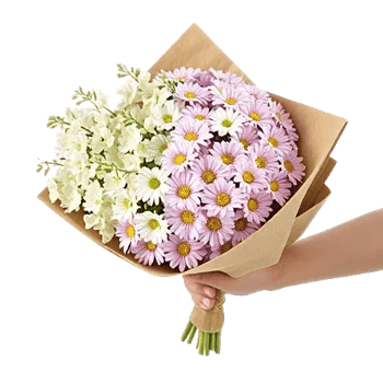 Blossom Harmony Display
