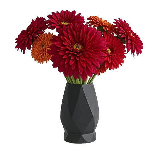 Crimson Blossom Harmony