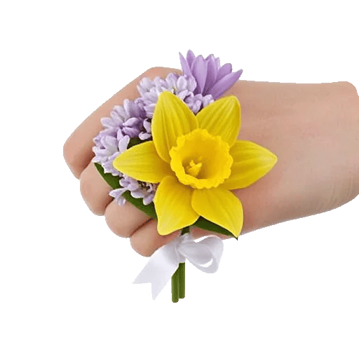 Blossom Harmony Display