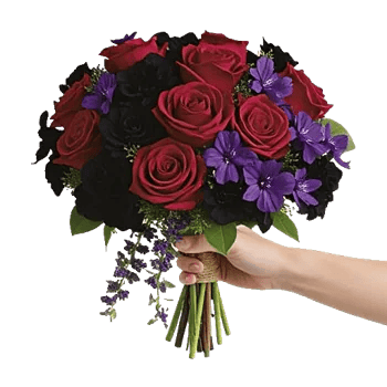 Crimson Blossom Harmony