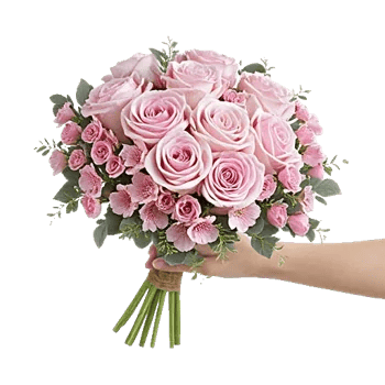 Pastel Pink Roses